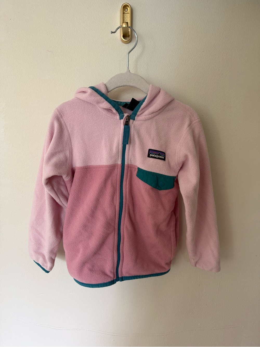 Patagonia Kids Pink Two-Tone Fleece Zip Hoodie with Teal Trim